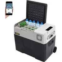 Vevor Compressor Koelbox 35L Mini Draagbare Autokoelkast Koeler Thermoelektrisch