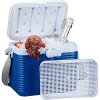 Relaxdays kleine koelbox, met handvat, draagriem, kunststof koeltas, werkt zonder stroom, 8 liter, afmetingen (h x b x d) 23,5 x 31 x 21 cm, wit-blauw