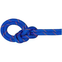 Mammut - 9.5 Crag Dry Rope - Enkeltouw 40 m, blauw