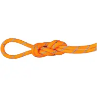 Mammut 8.7 Mm Alpine Sender Dry 40 M Touw