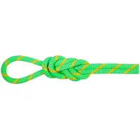 Mammut - 8.0 Alpine Dry Rope - Halftouw 60 m, groen