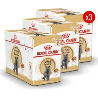 Royal Canin British Shorthair Adult Wet - Kattenvoer