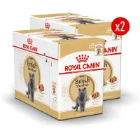 Royal Canin British Shorthair Adult Wet - Kattenvoer