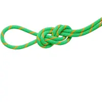 Mammut - 8.0 Alpine Dry Rope - Halftouw 30 m, groen