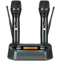 INF Dubbele professionele draadloze microfoon met vaste ontvanger