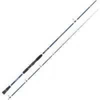 Falcon Verado Deep Boat Bottom Shipping Rod Zilver 2.70 m / 200 g