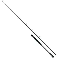 Colmic Naxos Spinning Rod Zilver 2.03 m / 200 g