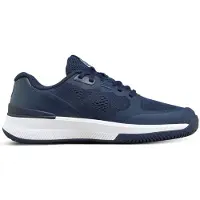 Wilson Intrigue Pro All Court Shoes Blauw EU 40 2/3 Vrouw