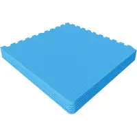 Gorilla Sports Sportschool Vloer Beschermingsmatten (6 matten + 12 eindstukken) Blauw
