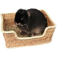 Rosewood chill 'n' snooze knaagdierbed 33x26 cm