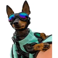 K9 Sport Sack K9 Sport Shades Hondenzonnebril