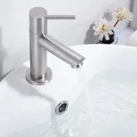CECIPA MAX Wastafelkraan - Koudwaterkraan - Badkamerkraan - Badkamer Spoelbak Kranen - Enkele Handgreep Wastafelkraan