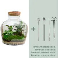 Urbanjngl Terrarium - Fat Joe - ↑ 30 cm - Ecosysteem plant - Kamerplanten - DIY planten terrarium - Mini ecosysteem + Hark + Schep + Pincet + Schaar