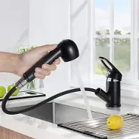 Auralum Max keukenkraan met uittrekbare uitloop - Keukenmengkraan - Handdouche - Uittrekbaar - Flexibele Slang - keuken kraan zwart