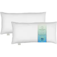Bodyprotect ECOLine kussen 2 stuks 40 x 80 cm, set van 2 kussens, dubbelpak beddengoed van 100% microvezel, wasbaar, wit