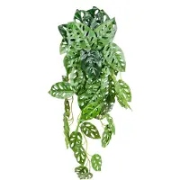 UNUS Kunsthangplant Monstera Adansonii Hangplant Groen Kunstplanten 55 cm set van 2 voor Binnen en Buiten Nepplanten Kunst plant