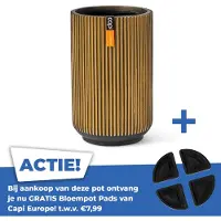 Capi Europe Vaas hoog groove d17h27 zwart goud