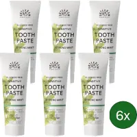Urtekram Tandpasta Strong Mint (Sensitive) – 75 ml – Multipack met 6 stuks