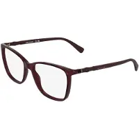 Longchamp LO2801 54/15/145 Transparant bordeaux Bio inj-g820 VROUW LO2801