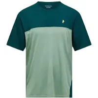 Peak Performance - Trail Wool Blend S/S - Merinoshirt L, meerkleurig