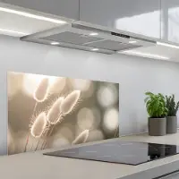 KitchenYeah Spatscherm 90x45 cm - Zelfklevende achterwand Hazestaartgras - Wit - Zonlicht - Keuken muurbeschermer - Spatwand fornuis