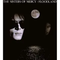 Warner Music Floodland (LP)