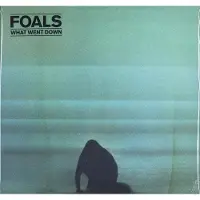 Warner Music What Went Down (LP)