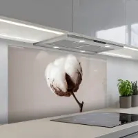 KitchenYeah Spatscherm 120x60 cm - Zelfklevende achterwand Katoenbol - Minimalistisch - Wit - Keuken muurbeschermer - Spatwand fornuis