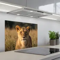 KitchenYeah Spatscherm 70x55 cm - Zelfklevende achterwand Leeuwin - Gras - Geel - Keuken muurbeschermer - Spatwand fornuis