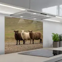 KitchenYeah Spatscherm 80x60 cm - Zelfklevende achterwand Schapen - Bruin - Wit - Grindpad - Keuken muurbeschermer - Spatwand fornuis