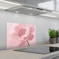 KitchenYeah Spatscherm 60x45 cm - Zelfklevende achterwand Bloem - Pioenroos - Roze - Keuken muurbeschermer - Spatwand fornuis