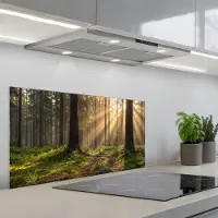 KitchenYeah Spatscherm 80x40 cm - Zelfklevende achterwand Bos - Zonlicht - Gras - Keuken muurbeschermer - Spatwand fornuis