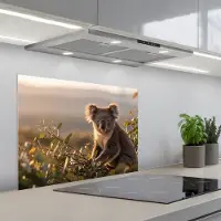 KitchenYeah Spatscherm 70x50 cm - Zelfklevende achterwand Koala - Bladeren - Ochtendlicht - Keuken muurbeschermer - Spatwand fornuis