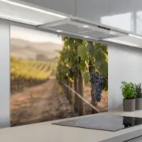 KitchenYeah Spatscherm 100x75 cm - Zelfklevende achterwand Druiven - Wijngaard - Zonlicht - Keuken muurbeschermer - Spatwand fornuis