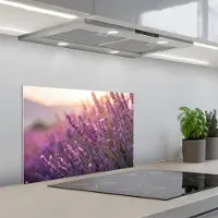 KitchenYeah Spatscherm 60x40 cm - Zelfklevende achterwand Lavendel - Paars - Zonlicht - Keuken muurbeschermer - Spatwand fornuis