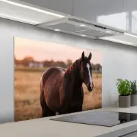 KitchenYeah Spatscherm 100x65 cm - Zelfklevende achterwand Paard - Zonsondergang - Bruin - Keuken muurbeschermer - Spatwand fornuis