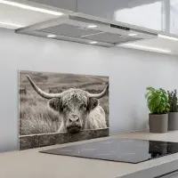 KitchenYeah Spatscherm 60x40 cm - Zelfklevende achterwand Schotse hooglander - Zwart - Wit - Hout - Keuken muurbeschermer - Spatwand fornuis