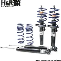 H&R 41696-6 Schokdemper met veer