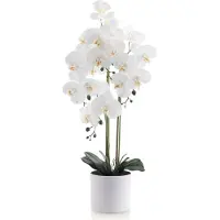 Meisterhome Kunstorchidee 80 cm – Realistische Phalaenopsis Orchidee – Bloeiende Kunstplant – Onderhoudsvrij – Witte Bloemen – Luxe Kamerplant in Pot