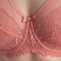 Dim Generous 008H4 Dames Micro Tulle Beha met Ondersteuning