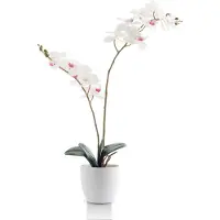 Meisterhome Kunstorchidee 65 cm – Realistische Phalaenopsis Orchidee – Bloeiende Kunstplant – Onderhoudsvrij – Witte Bloemen – In Pot – Luxe Woondecoratie