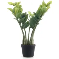 Meisterhome Kunst Zamioculcas 50 cm – Kunstplant - Onderhoudsvrije Kamerplant – Inclusief Pot – Realistisch & Vol Model – Groen
