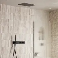 Saniclear Manchester plafond inbouw regendouche 48x33cm mat zwart met staafhanddouche