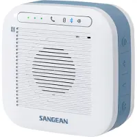 Sangean H200