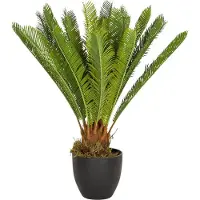 Hjh OFFICE CYCAS | Kunstplant - Kunstplant Groen