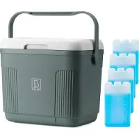 Brisby 22 liter Koelbox Groen met 4 koelelementen