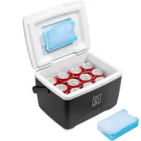 Brisby Koelbox - Frigobox - 8L - Zwart - 40 uur isolatie - 2 koelelementen - Temperatuur Veilige Sluiting