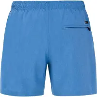 Protest Zwemshorts 'Davey' blauw