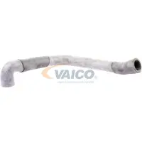 VAICO V30-1621 Radiateurslang