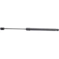 RIDEX 219G0227 Gasveer achterklep